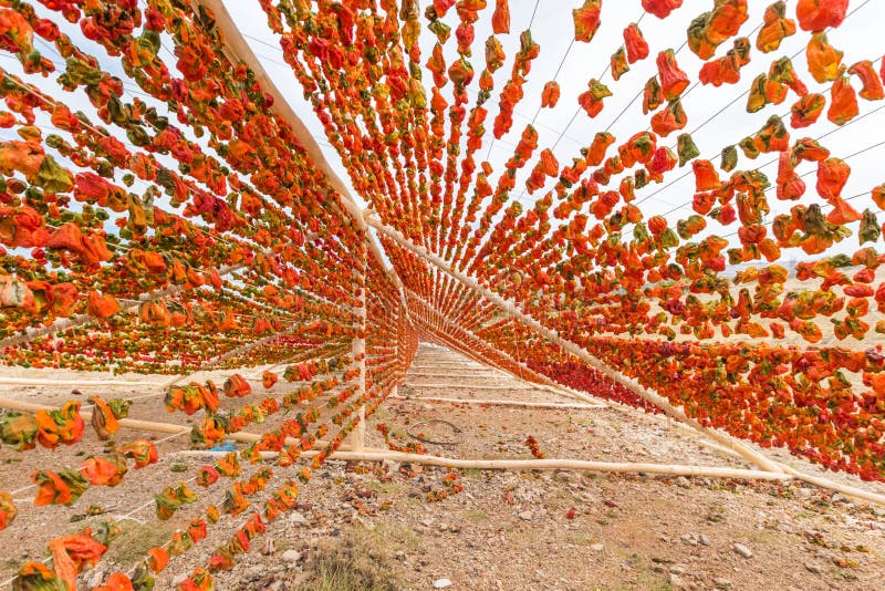 Traditional pepper drying process in Gaziantep, Turkey stock photos