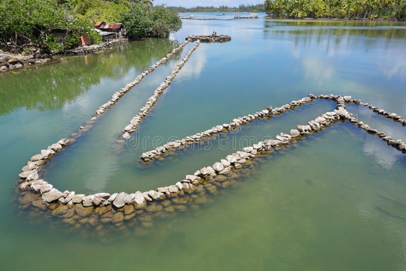 Traditional Polynesian old fish trap with stones