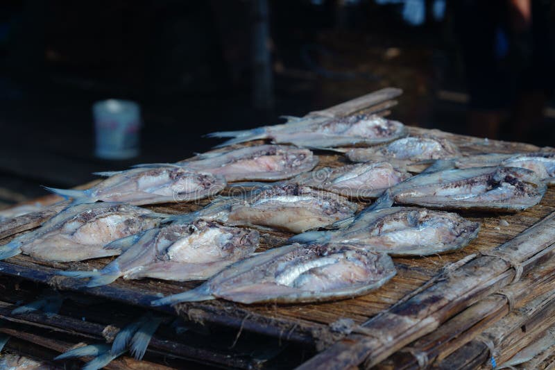 Traditional Process of Drying the Salted Fish Under Direct Sunlight in