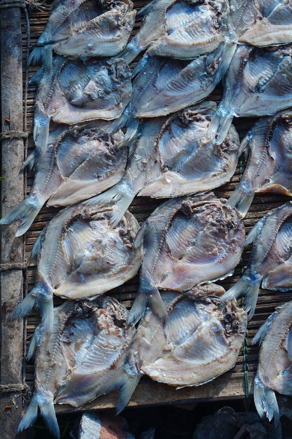 Traditional Process of Drying the Salted Fish Under Direct Sunlight in