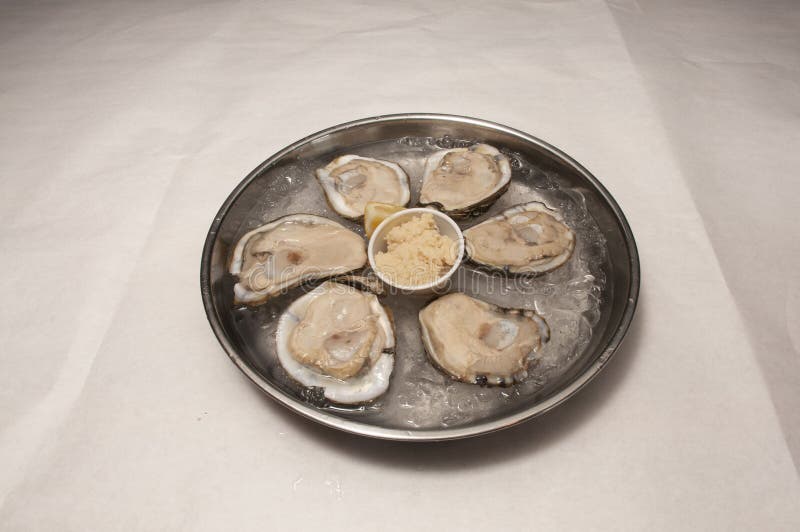 Traditional Raw Oysters stock image. Image of taste 259687995