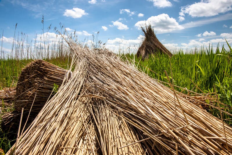 thatched roofs in kansas thatched roofs in kansas