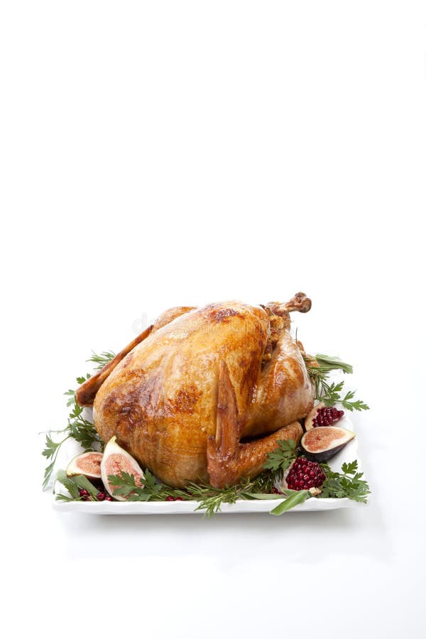 Traditional Roasted Turkey On White Stock Image - Image of sage, gourds ...