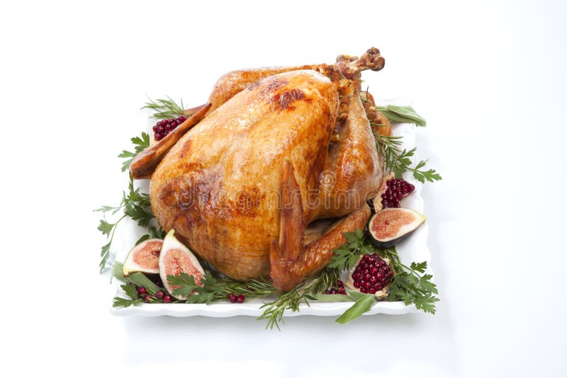 Traditional Roasted Turkey on White Stock Image Image of roasted
