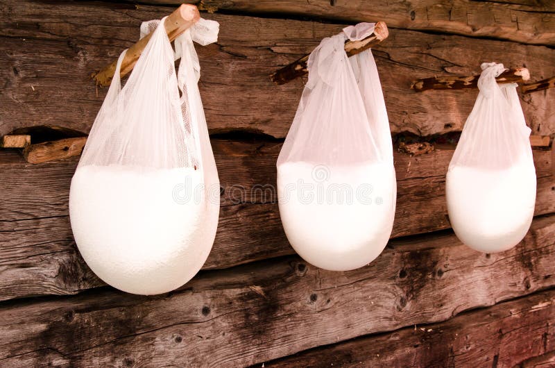 Traditional sheep cheese hanging in white cheese cloth drying.