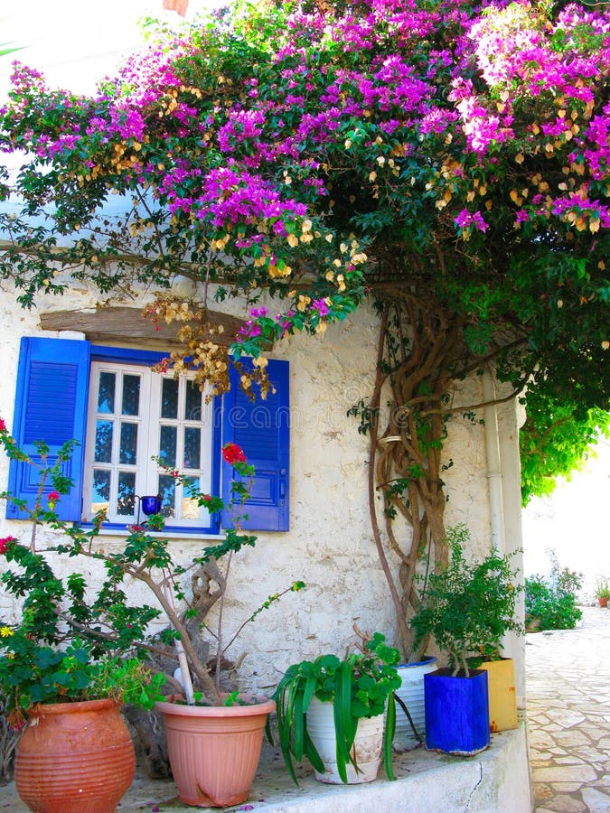 Traditional Street with Bright Bougainvillea in Greece Stock Image ...