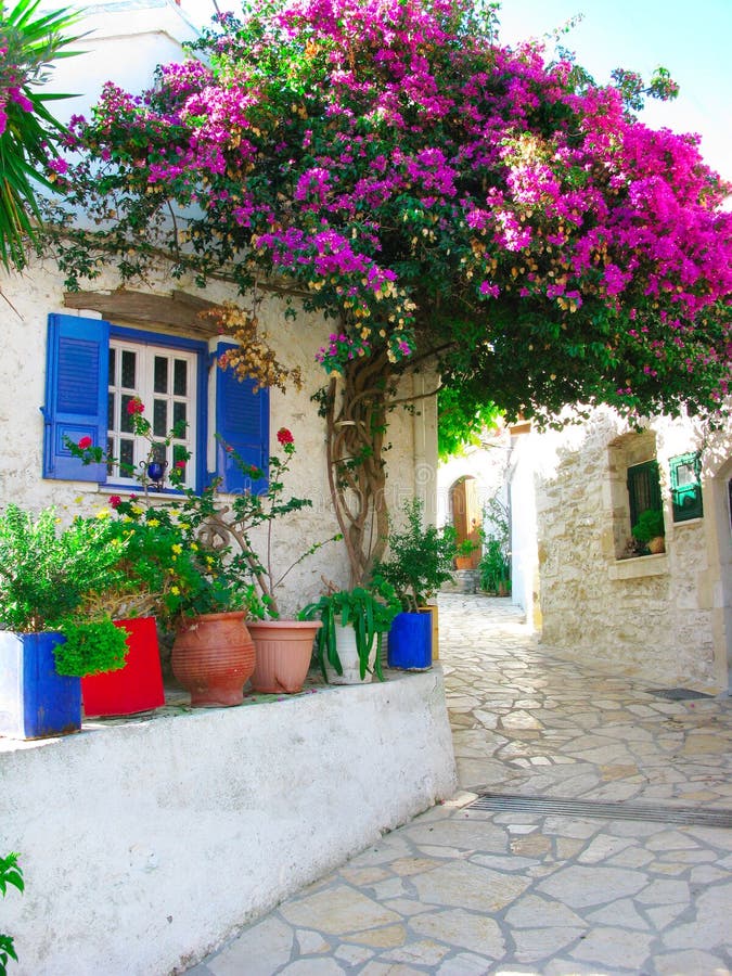 Traditional Street With Bright Bougainvillea In Greece Stock Photo ...