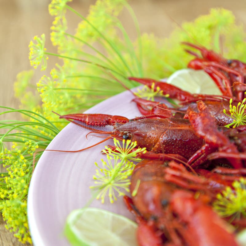Traditional swedish crayfish holiday meal