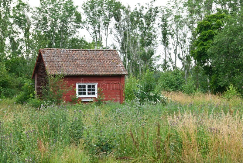 Traditional Swedish red house in summer landscape