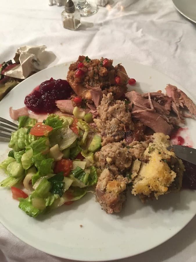Traditional Turkey Dinner Plate Mashed Potatoes, Stuffing, Cranberries