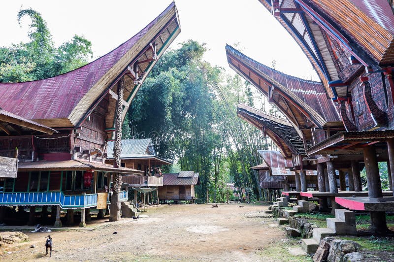 Tato fotografie byla pořízena v Tana Toraja, Sulawesi, Indonésie.