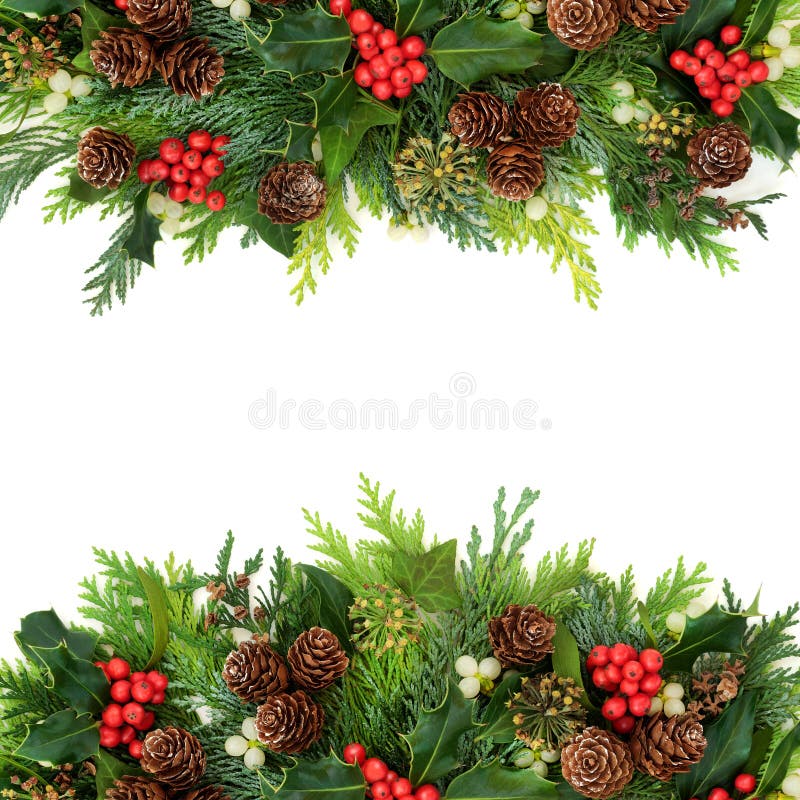 11,527 Christmas Greenery Stock Photos - Free & Royalty-Free Stock Photos  from Dreamstime