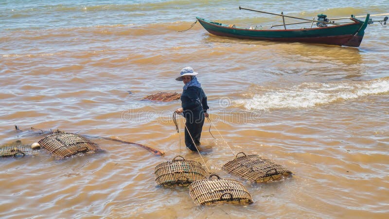 189 Bamboo Traps Stock Photos - Free & Royalty-Free Stock Photos