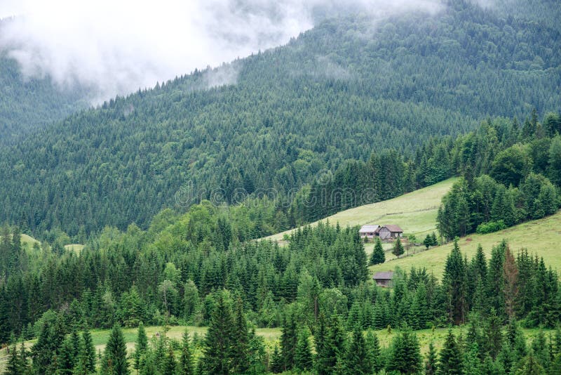Traditional Wooden Mountain House On Green Field Stock Photo Image Of