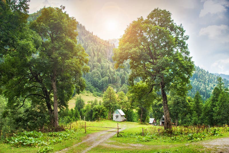 Traditioneel houten berghuis op een groen gebied in de zomer royalty-vrije stock afbeelding Traditioneel houten berghuis op een groen gebied in de zomer royalty-vrije stock afbeelding