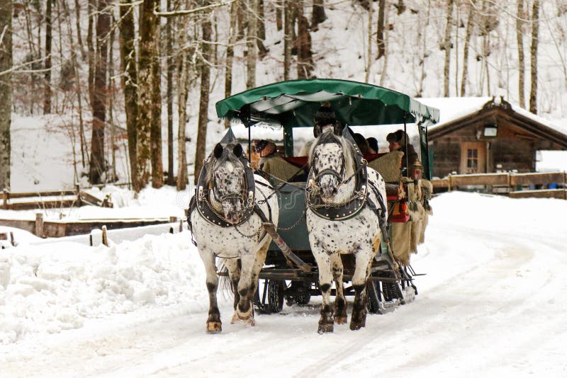 Traditionell hästvagnsritt under vintern arkivfoton Traditionell hästvagnsritt under vintern arkivfoton