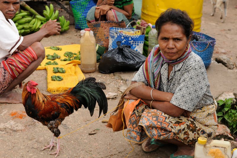 Traditionell stam- marknad på en ö Timor, Indonesien royaltyfri bild Traditionell stam- marknad på en ö Timor, Indonesien royaltyfri bild
