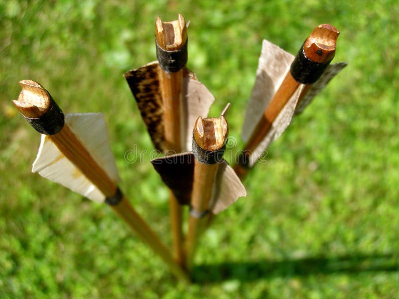 Traditional arrows, made in classical way. Traditional arrows, made in classical way