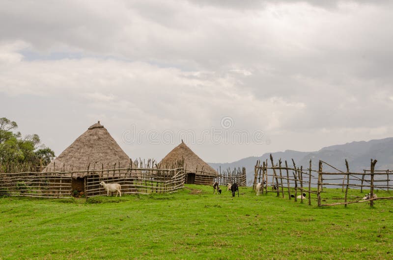 Traditionellt halmtäcka, lera och wood hus av fårbonden i högländer av Kamerun, Afrika arkivbilder Traditionellt halmtäcka, lera och wood hus av fårbonden i högländer av Kamerun, Afrika arkivbilder