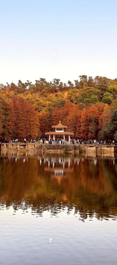Tradycyjny ogród w chinach shenzhen. park leśny. zdjęcia stock