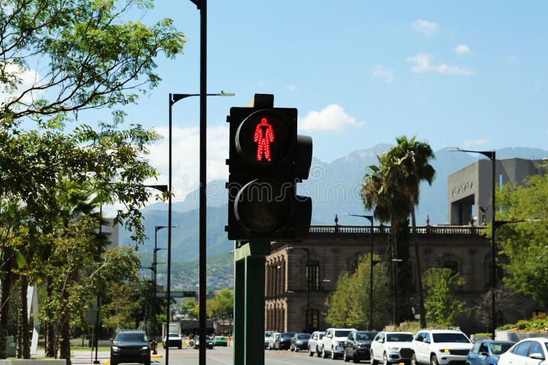 Traffic Light on City Street. Road Rules Stock Image Image of