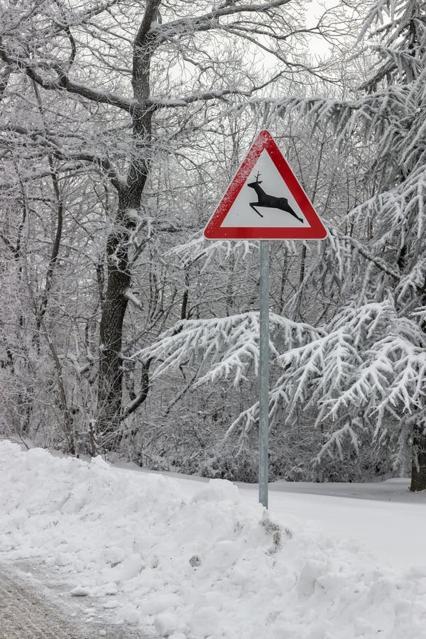 Trafiktecknet varnar hjortkorsningen royaltyfria bilder Trafiktecknet varnar hjortkorsningen royaltyfria bilder