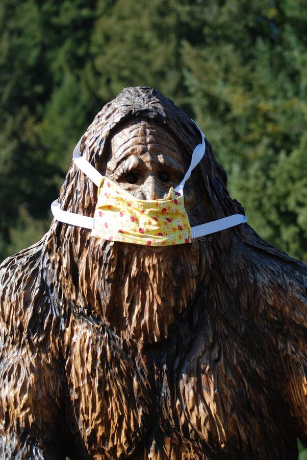 Wooden statue of bigfoot in Mill City, Oregon wearing a cloth mask while out in public to prevent the spread of Coronavirus. Wooden statue of bigfoot in Mill City, Oregon wearing a cloth mask while out in public to prevent the spread of Coronavirus.