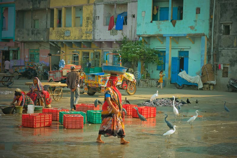 Tragende Fische der Frau auf dem Kai in Diu-Insel, Gujarat lizenzfreie stockbilder Tragende Fische der Frau auf dem Kai in Diu-Insel, Gujarat lizenzfreie stockbilder