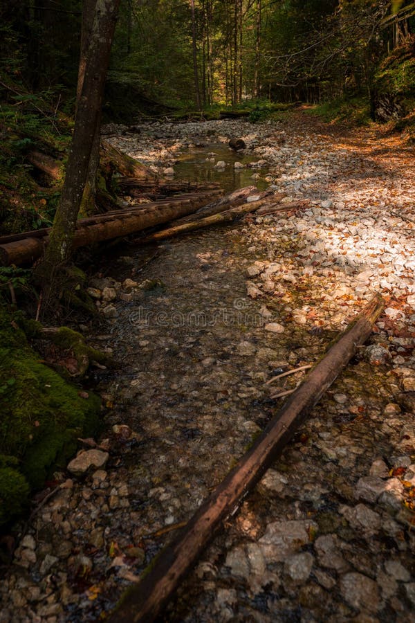 The trail through the beautiful canyon of the Slowacki Raj National Park