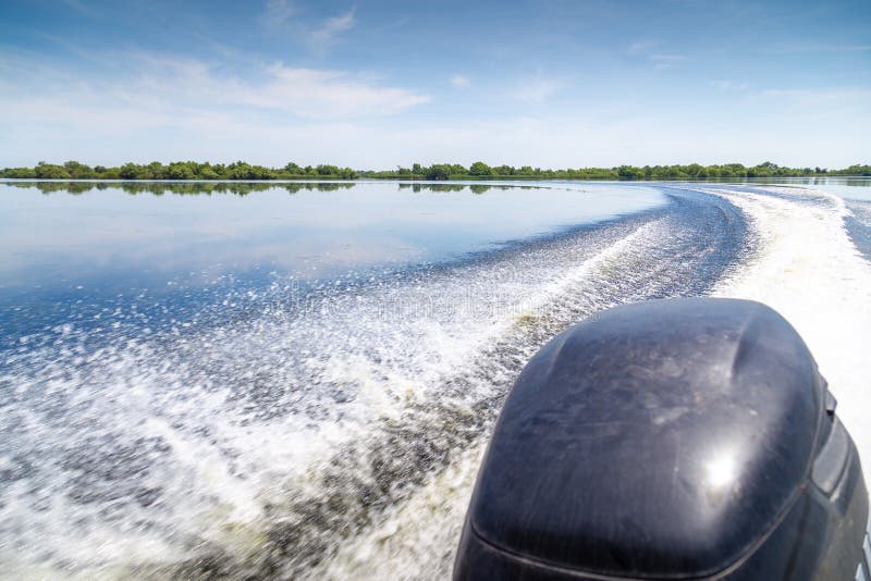 Trail of beautiful water from motor boat in Danube Delta, Romania royalty free stock photography Trail of beautiful water from motor boat in Danube Delta, Romania royalty free stock photography