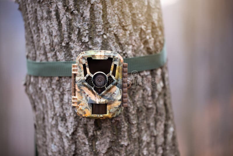 Trail camera for wildlife monitoring attached to a tree with green strap. Hidden digital trap with motion pir sensor and infrared flash used for scientific