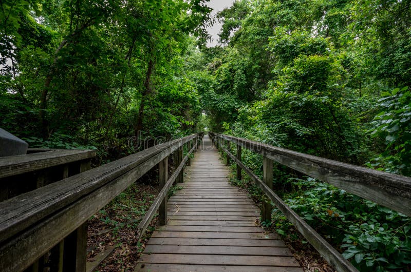 Trail on Currituck Banks North Carolina National Estuarine Research Reserve