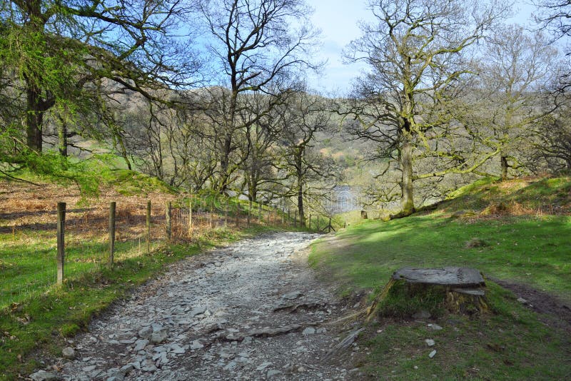 Trail in forest in hilly English countryside