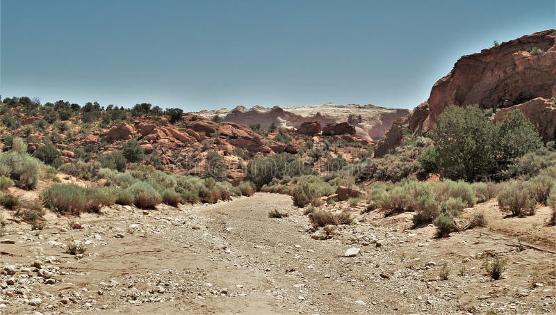 Wire Pass Trail