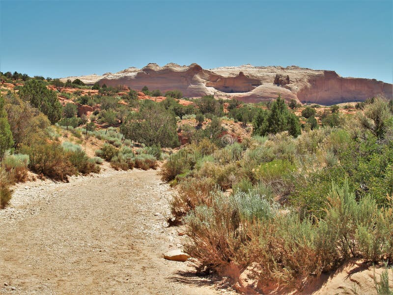 Wire Pass Trail to Buckskin Gulch