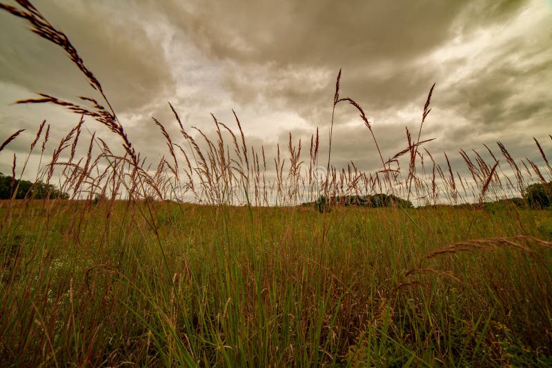 Trail Lined with Tall Grass Leading To a Wildlife Observatory in the ...