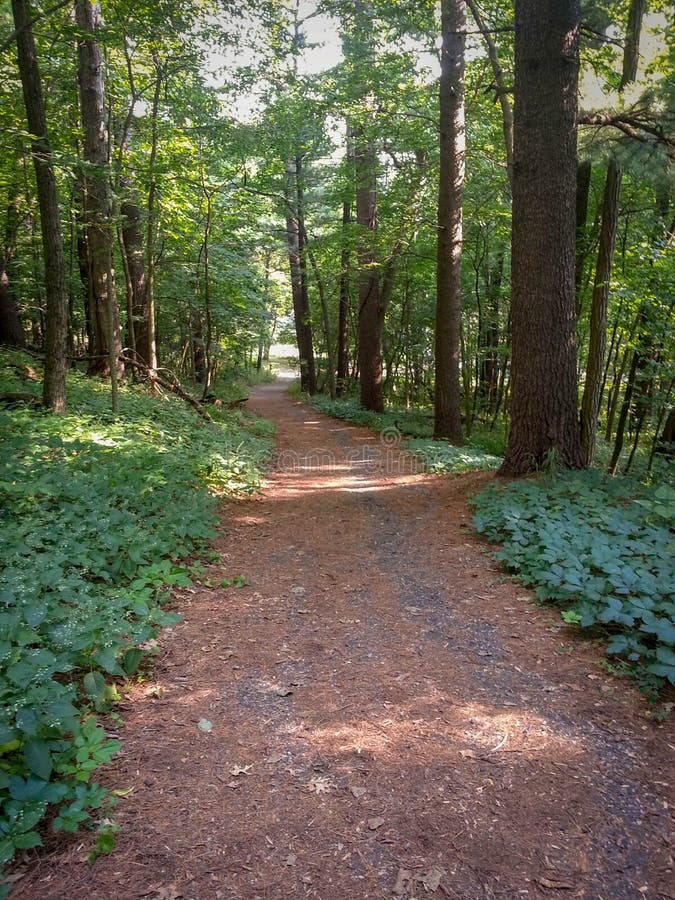 Trail at Mirror Lake State Park in WI Stock Photo Image of wisconsinstate, scenery 107701416