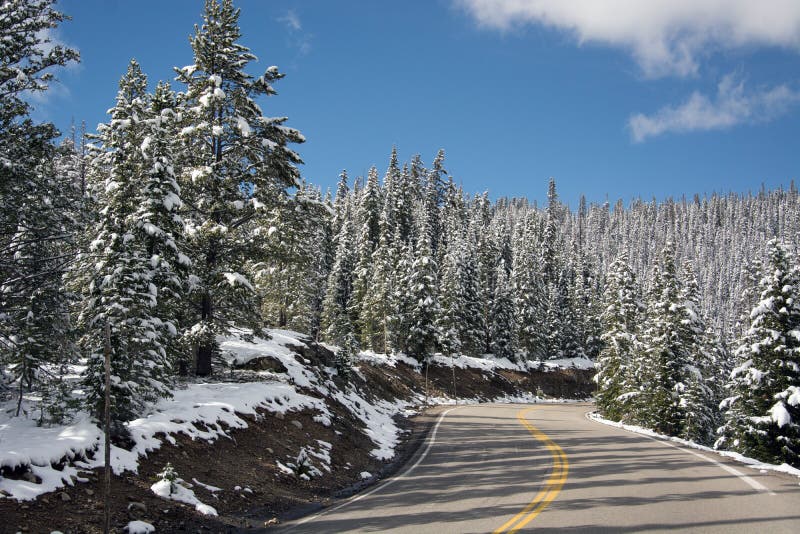 Trail Ridge Road