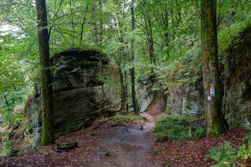 Trail, Rock Formation, Forest, MÃ¼llerthal, Luxembourg Stock Image ...