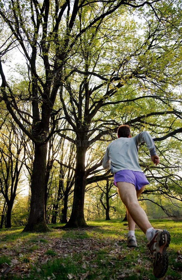 Trail running royalty free stock image