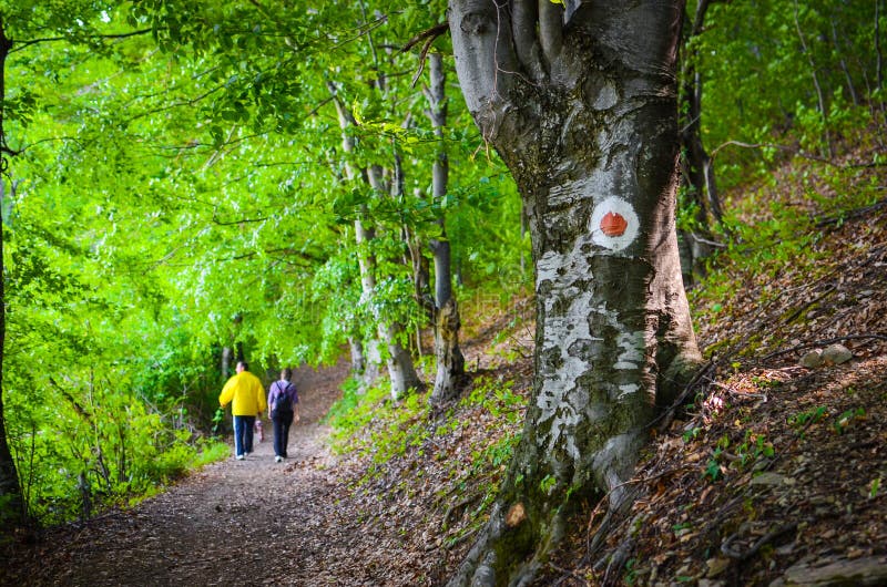 Trail signs