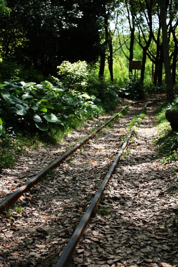 Trail of small train in Gongqing Forest Park