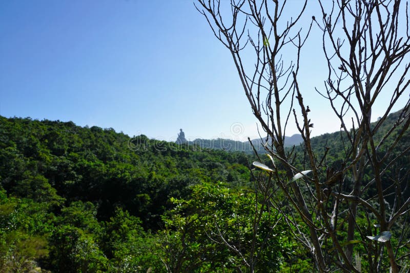 Trail To Big Giant Buddha in Hong Kong Stock Image - Image of trail
