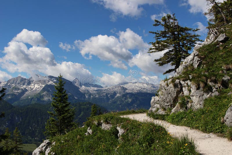 Trail to the Mount Jenner at the Berchtesgadener Land. Beautiful Alps mountains view. Blooming meadows and hiking path
