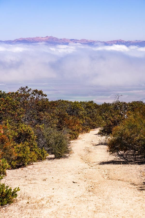 Trail to Simas Peak in Toro Park, Salinas, California