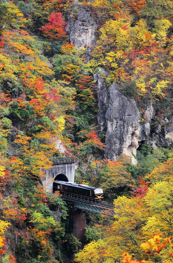 A train coming out of a tunnel onto a bridge over Naruko Gorge with colorful autumn foliage