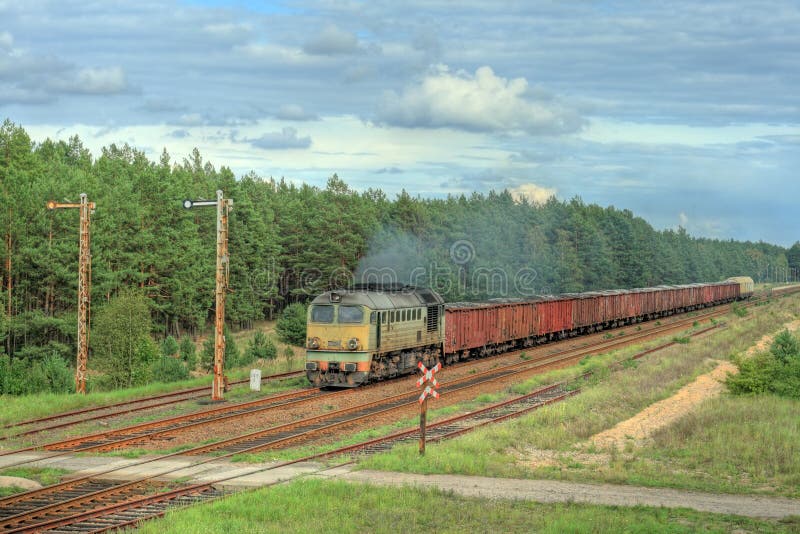 Un train de marchandises traverse la forêt images libres de droits