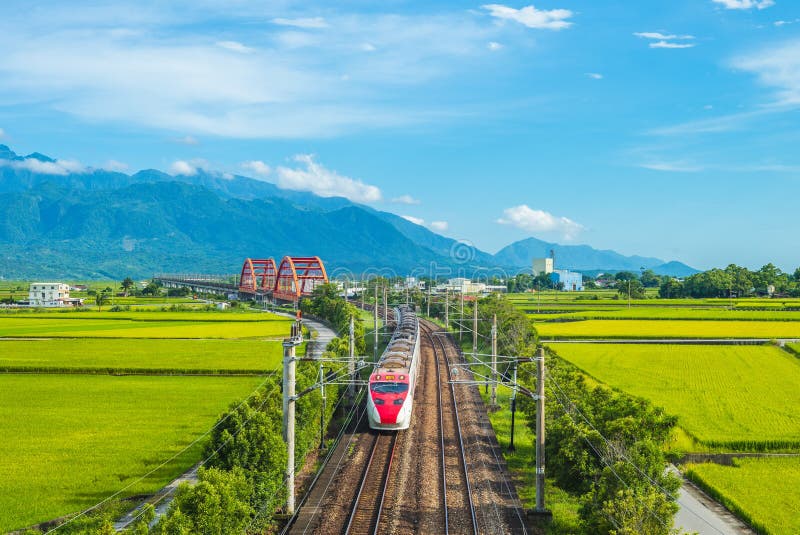 Train on the field in yuli, hualien, taiwan royalty free stock photo