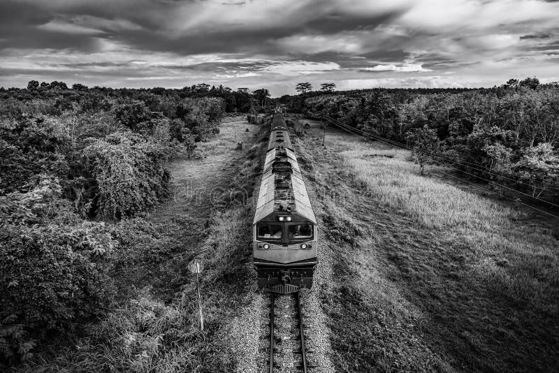 Train on Railway Transportation in Forest and Cloud Storm, Black and White  and Monochrome Style Stock Photo - Image of service, private: 156501850