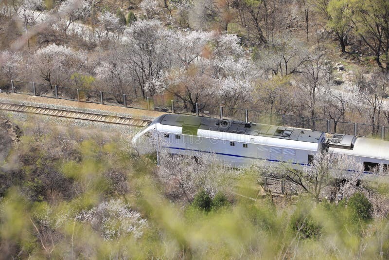 The train running royalty free stock photos